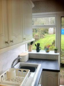 蒙默思Charming cottage within farmhouse的带水槽的厨房台面和窗户