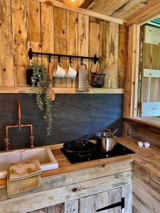 蒙默思Bee Bole Cabin的小屋内的厨房配有炉灶和水槽