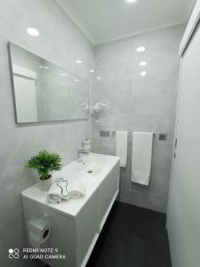 奥尔塔Casa Rua Velha的浴室设有白色水槽和镜子