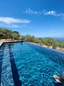 阿纳卡普里“CapriOleum” esclusive place的海景游泳池