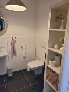 沃尔芬比特尔"Loft" in Wolfenbüttel的白色的浴室设有卫生间和水槽。