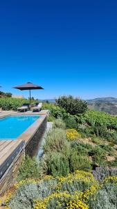ProvesendeCasa de Pena d'Águia - Douro Encantado的一个带游泳池和遮阳伞的花园
