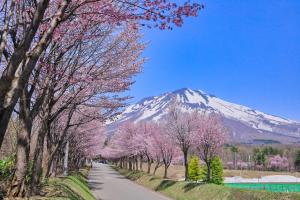 弘前市Guest House Chara的山的背景,树木和道路