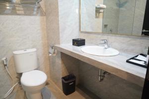 索龙Rylich Panorama Hotel的一间带卫生间和水槽的浴室