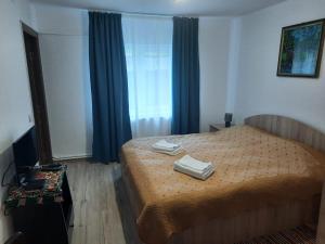 CiocăneştiCasa Dumitru si Elena Ciocanesti Bucovina的一间卧室配有一张床,上面有两条毛巾
