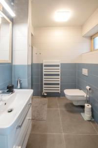 图尔诺夫Apartmány U Jizery的浴室配有白色水槽和卫生间。