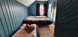 BurfjordArctic FjordCamp的蓝色墙壁客房的两张床