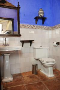 贝瑙卡斯Mascotas 1的一间带卫生间、水槽和镜子的浴室