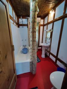 斯利那加Shiraz Deluxe Houseboat的带浴缸和盥洗盆的小浴室