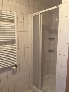 奥特里德维茨FeWo Lindenhof的浴室里设有玻璃门淋浴
