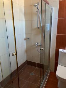 阳光海滩维拉玛丽亚瑞斯酒店的浴室设有玻璃淋浴间和卫生间