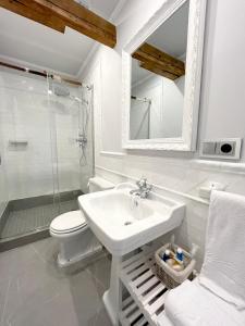萨拉曼卡Apartamentos El Mirador del Poeta的一间带水槽、卫生间和镜子的浴室