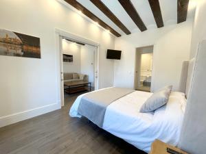 萨拉曼卡Apartamentos El Mirador del Poeta的一间卧室设有一张床和一间客厅。