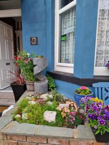 布莱克浦Sirocco Blues Guest House的鲜花盛开的蓝色建筑前的花园