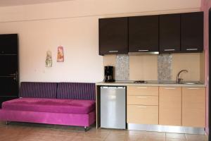 帕尔加Dafni studios no2的一间厨房,在房间内配有紫色沙发