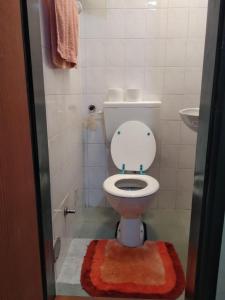 弗尔尼亚奇卡矿泉镇Zeleni raj的浴室设有卫生间,地板上铺有地毯。