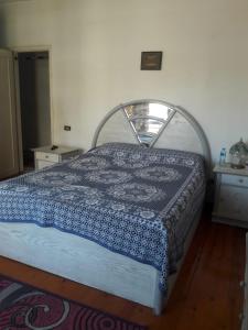 开罗1 bedroom apartment in the heart of Cairo , just 15 minutes from the airport的一间卧室配有一张带蓝色被子的床