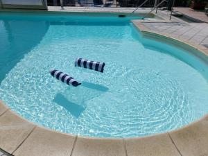 塔皮安诺阿斯托利亚酒店的游泳池里两个黑白条纹球