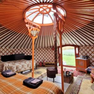 阿克雷里Iceland yurt的相册照片