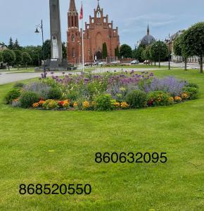 罗基什基斯Butas Senamiestyje的一座公园里一团鲜花,一座教堂