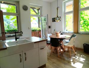 韦尼格罗德FeRo´s Ferienwohnung的厨房配有水槽和桌椅
