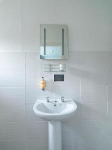 莱瑟姆-圣安妮霍华思之家酒店的白色的浴室设有水槽和镜子