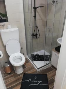 里耶卡Studio apartman Noa的一间带卫生间和淋浴的小浴室