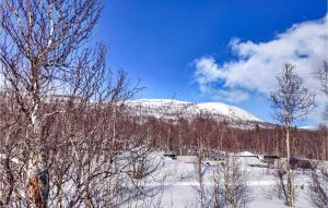 塔那比Amazing Home In Tärnaby With Wifi的远处的雪覆盖的山,树木覆盖