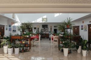 撒马尔罕Casa de Higos的一间设有桌椅和盆栽的餐厅