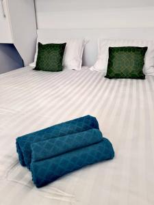 奥拉迪亚Christopher Apartment的床上的蓝色毯子和两个枕头