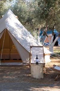 加藤-达拉特索哈尼亚露营地的一个带镜子的白色帐篷