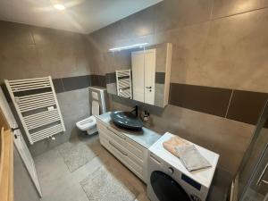 韦莱涅Delux apartment ARSO的一间带水槽和卫生间的浴室