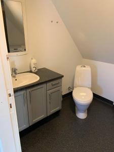 斯凯拜克Jægergård的浴室配有白色卫生间和盥洗盆。