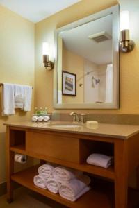 达尼亚滩劳德代尔堡机场南智选假日酒店的一间带水槽和大镜子的浴室