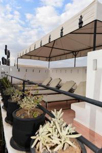 马拉喀什雷亚德拉胡斯住宿加早餐旅馆的排在屋顶上的盆栽植物