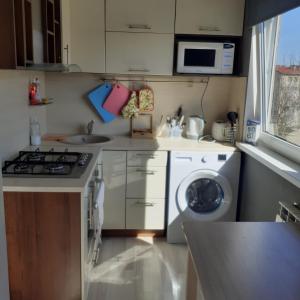 纳尔瓦Rakvere studio的小厨房配有洗衣机和水槽