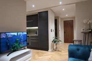 约克City Centre Luxury studio apartment suite with garden view的客厅配有大屏幕平面电视