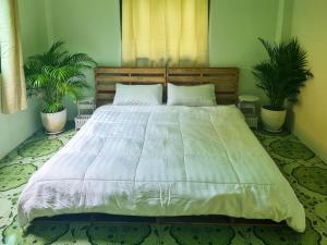 象岛JENI Homestay โฮมสเตย์หลังใหญ่ปิ้งย่างได้的卧室内的一张大床,有两棵植物