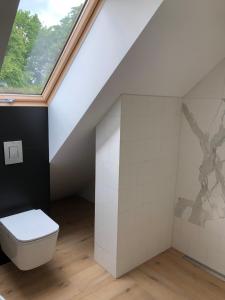 MielnikApartament na Podlasiu的阁楼浴室设有卫生间和窗户。