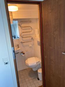 斯德哥尔摩Rygerfjord Hotel & Hostel的一间带卫生间和水槽的浴室
