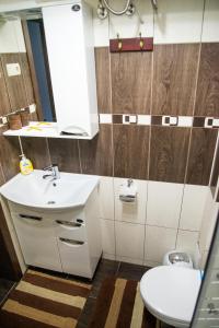 切尔诺夫策Апартаменты центр Головная的一间带水槽和卫生间的浴室