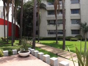 墨西哥城佩德雷加尔皇家酒店的相册照片