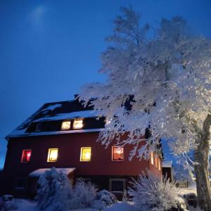 库罗阿尔滕堡Ferienwohnung Zum Ausblick的雪中一棵树,窗户