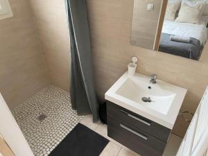 卢瓦尔河畔叙利Sully-sur-loire: Agréable maison en centre ville的一间带水槽和镜子的浴室以及一张床