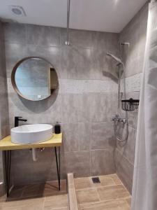 雅典Baloo Hostel的浴室配有盥洗盆和带镜子的淋浴