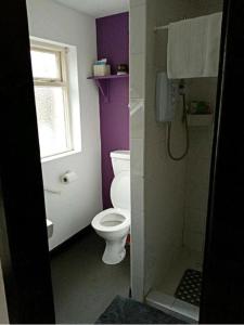 韦克斯福德Townhouse Wexford的一间带卫生间的浴室、一个窗户和一部电话