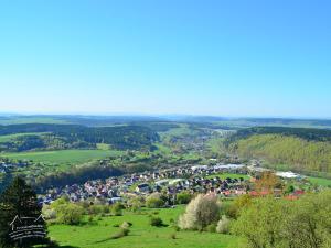 RauensteinDie Triniushütte "Thüringens schönste Aussicht"的山丘上城镇的空中景观