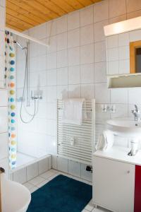 库尔瓦尔登Zwei Zimmer Ferienwohnung Rabiusa Churwalden的带淋浴和盥洗盆的白色浴室