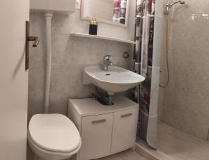 圣内德尔贾Apartmani Marija的一间带卫生间和水槽的浴室