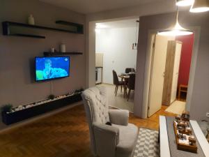 斯雷姆斯卡米特罗维察River Lux的客厅设有壁挂式平面电视。
